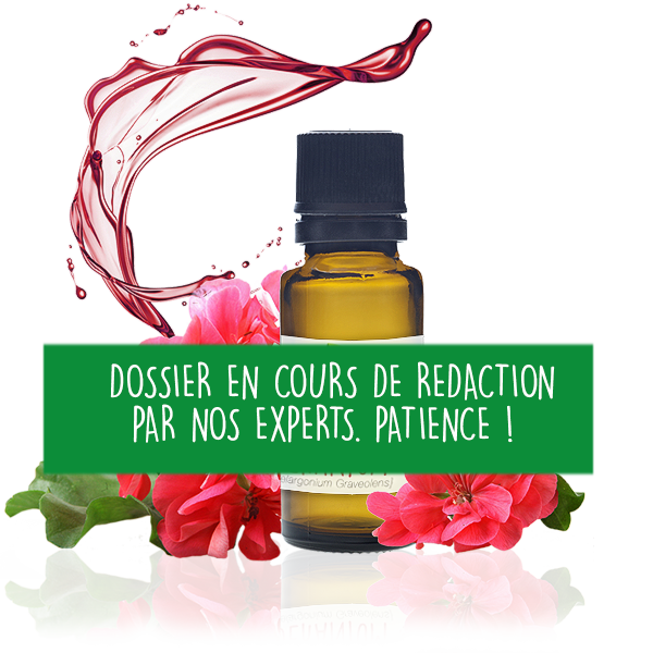 Booster sa concentration et Huiles Essentielles : L'Astuce Naturelle